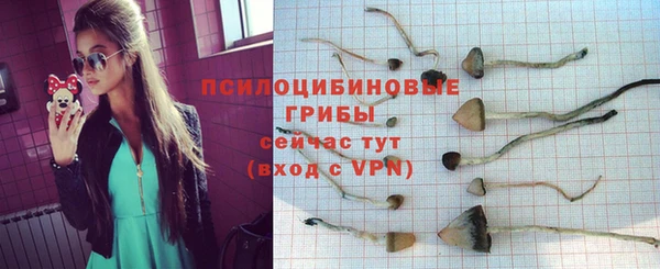 мескалин Бронницы