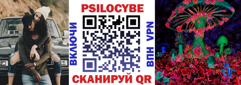 Галлюциногенные грибы Psilocybe  Гдов 
